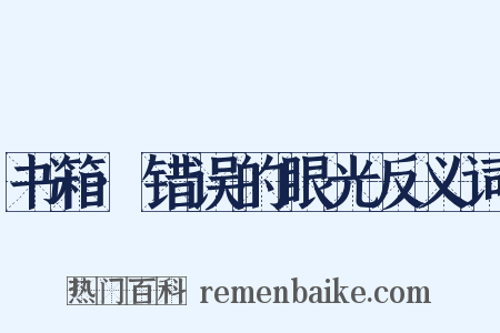 书箱·错误的眼光反义词是什么意思的图片